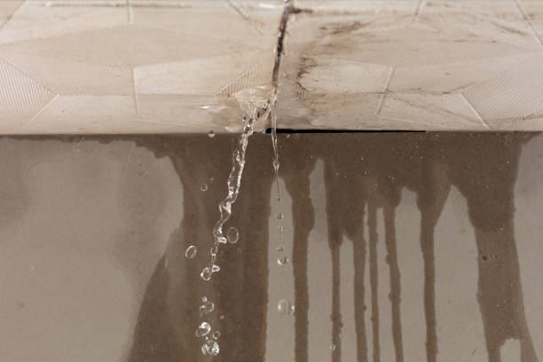 Professional Water Damage Inspection technician working in Samburg, TN
